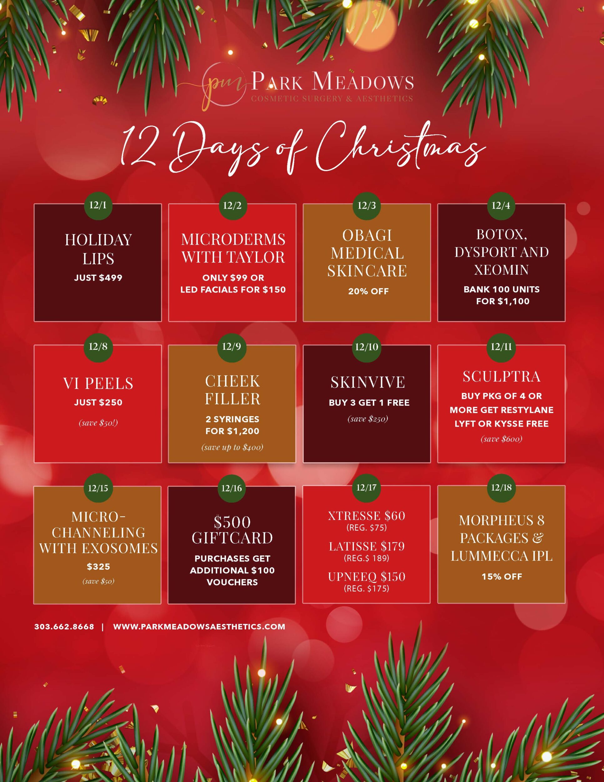12 Days of Christmas